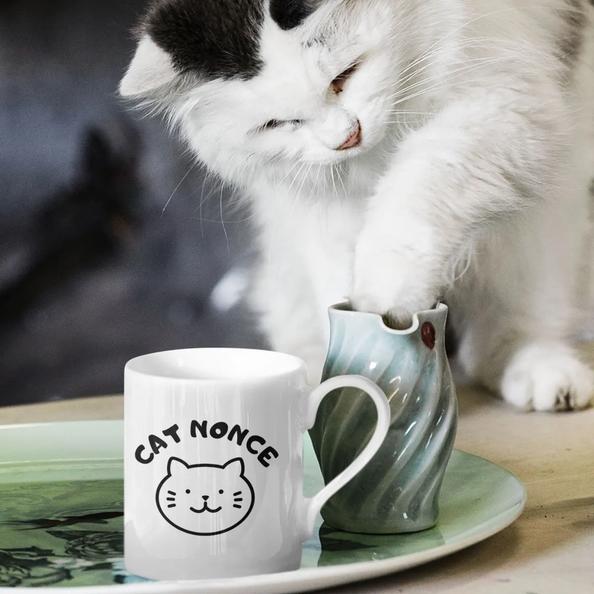 cat nonce cat nonce mug